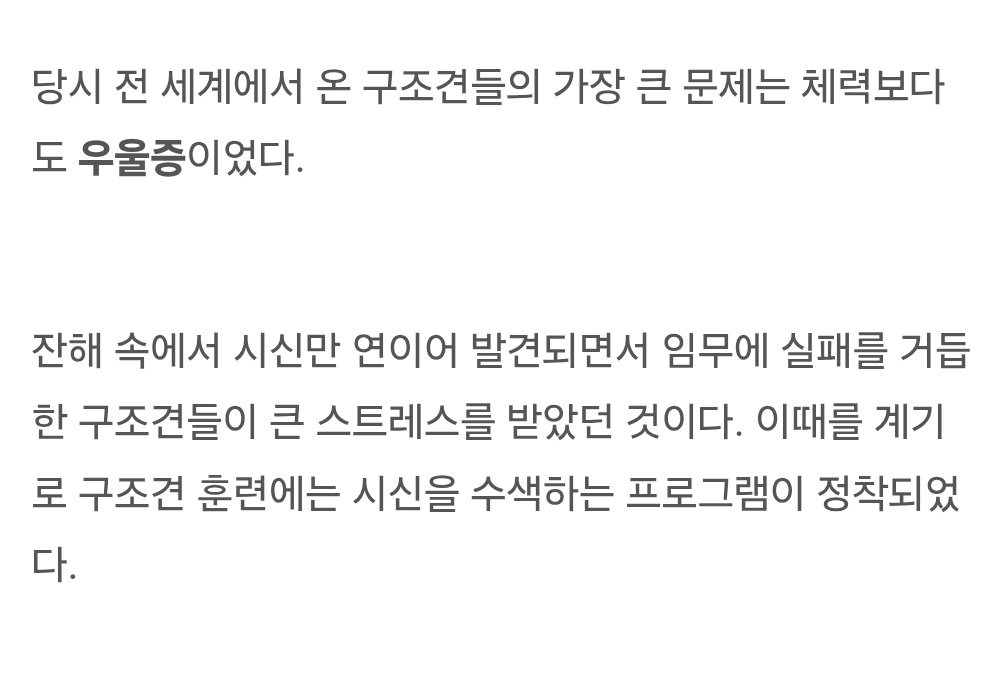 구조견 멍멍이들이 생존자 계속 발견 못하면 우울증 온다고... | 인스티즈
