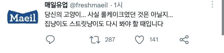 아, 고양이가 없으시다고요? 괜찮아요 | 인스티즈