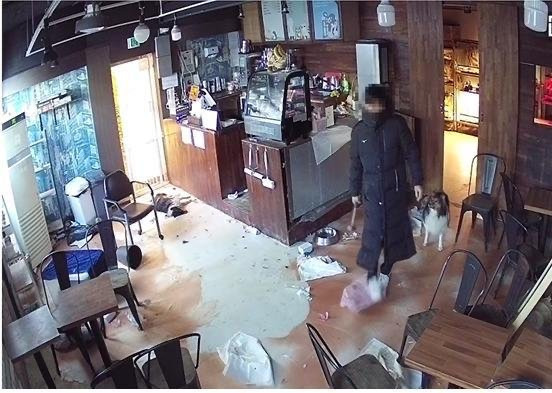 망치로 개 때려죽인 동물카페 돌연 영업중단…동물들은 어디로? | 인스티즈