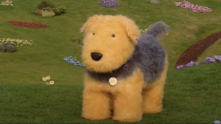 낭만이 있는 세상에 산다는 게 | 인스티즈