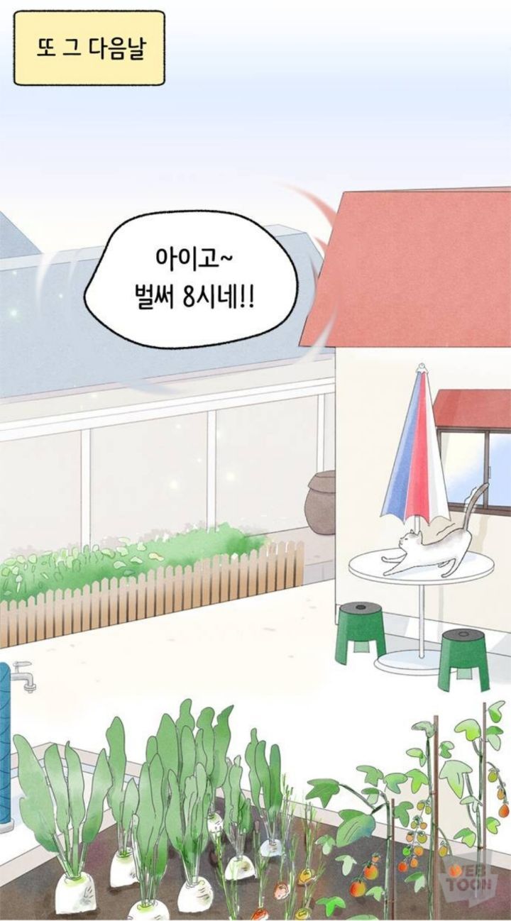 직장이랑 가까워서 할머니집에서 살게됐는데 더 일찍 일어나는거 실화? | 인스티즈