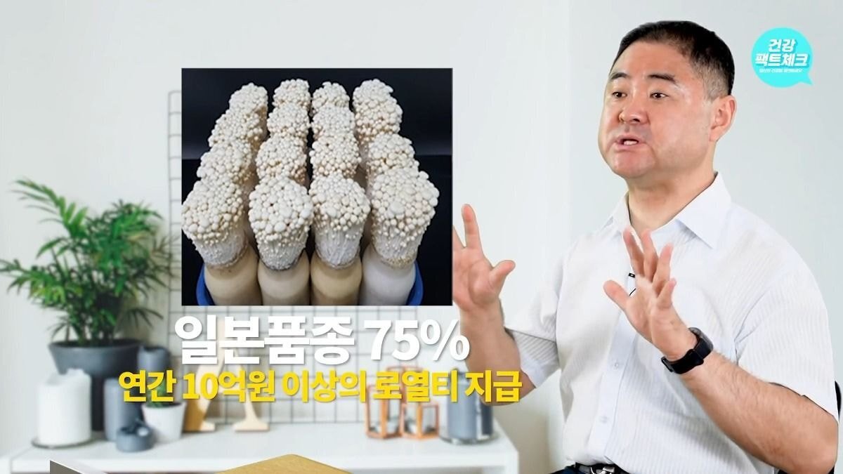 마트에서 팽이버섯을 살 때 가급적이면 흰색 말고 갈색 팽이버섯으로 구입하자.jpg | 인스티즈