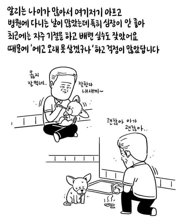 갑자기 떠난 아빠와 15살 강아지.jpg | 인스티즈