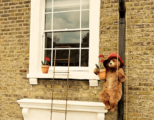 약 7년만에 돌아오는 패딩턴 세번째 이야기 패딩턴 인 페루 예고편 공개🍊🐻 | 인스티즈