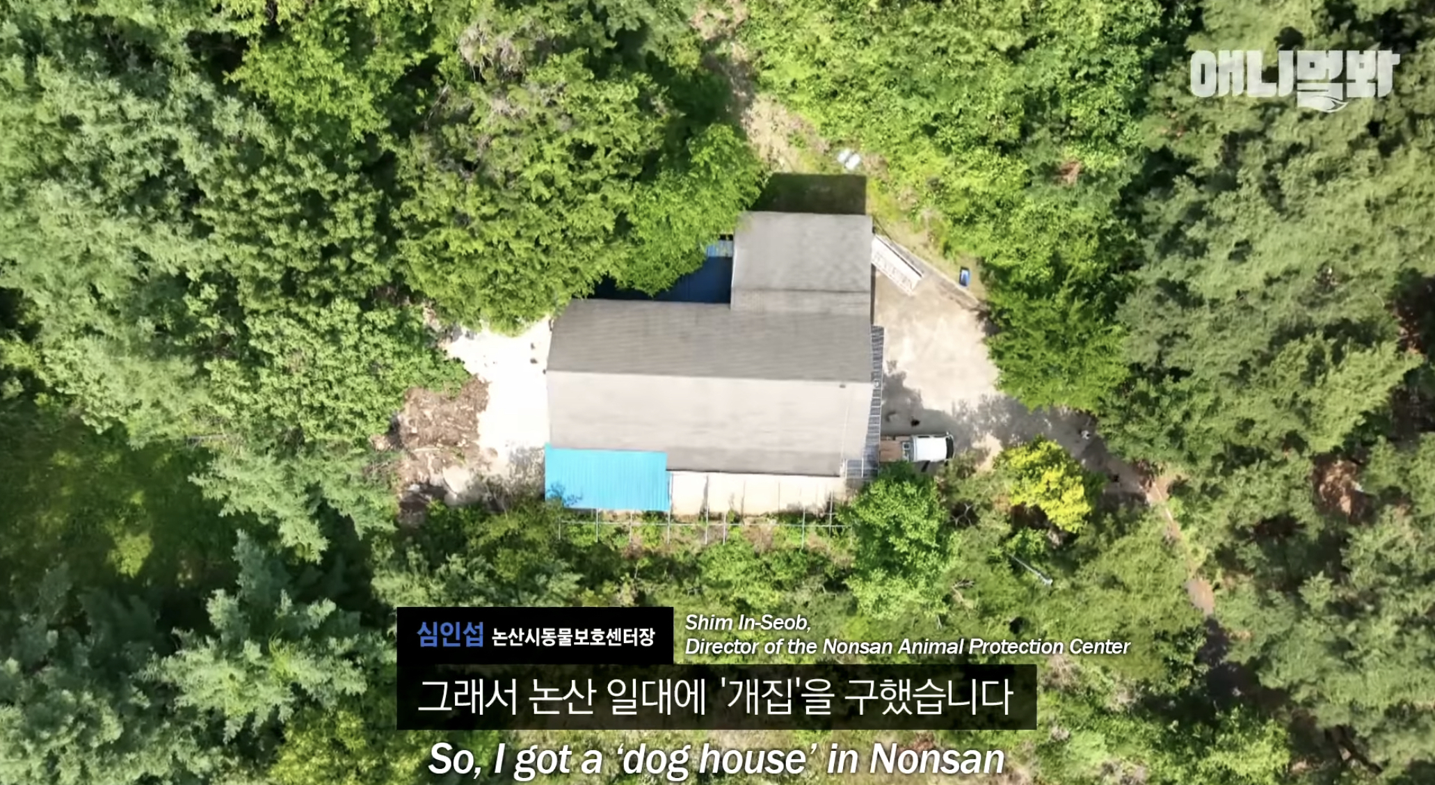 유기견들의 입양을 위해 논산에 집을 산 사람 | 인스티즈