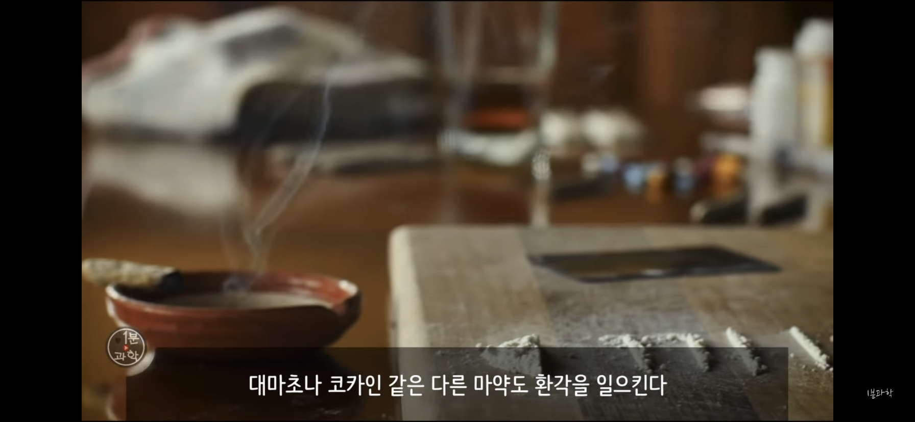 전세계에서 금지된 마약 | 인스티즈