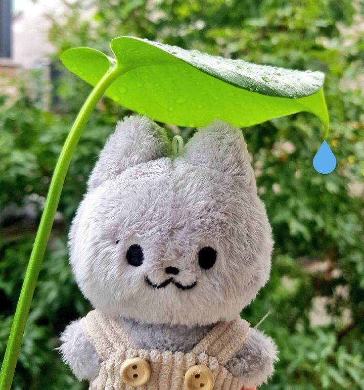 요즘 아이돌 팬들 사이 덕질 필수템 중에 하나인 것 | 인스티즈