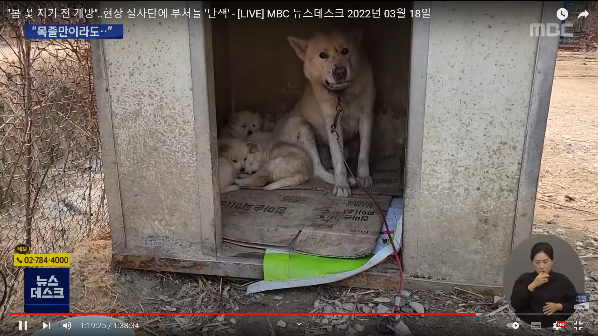 재난 대피소에 출입 불가능한 동물들 | 인스티즈