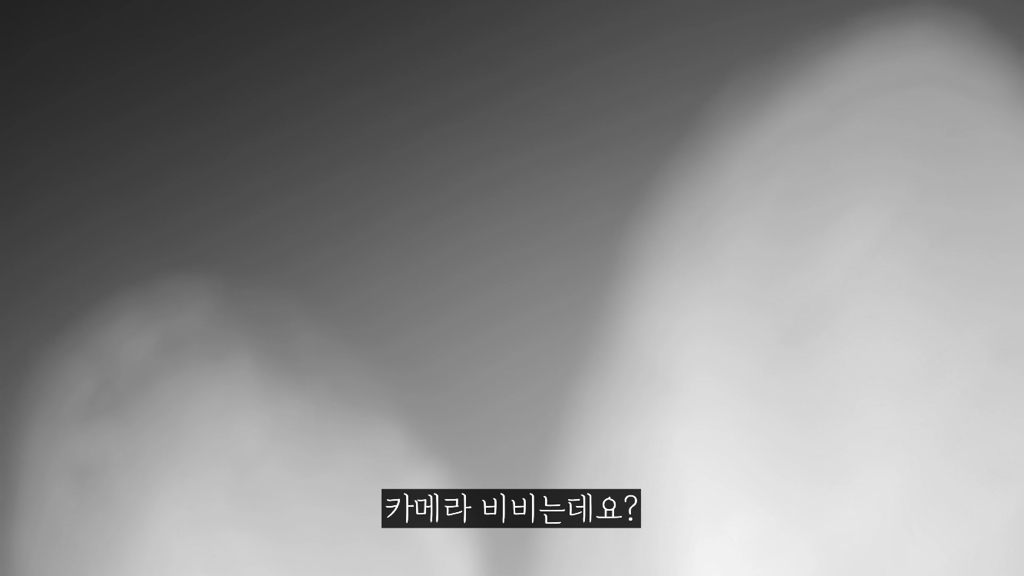 고속도로에 있는 생태통로 진짜 야생동물이 다닐까? | 인스티즈