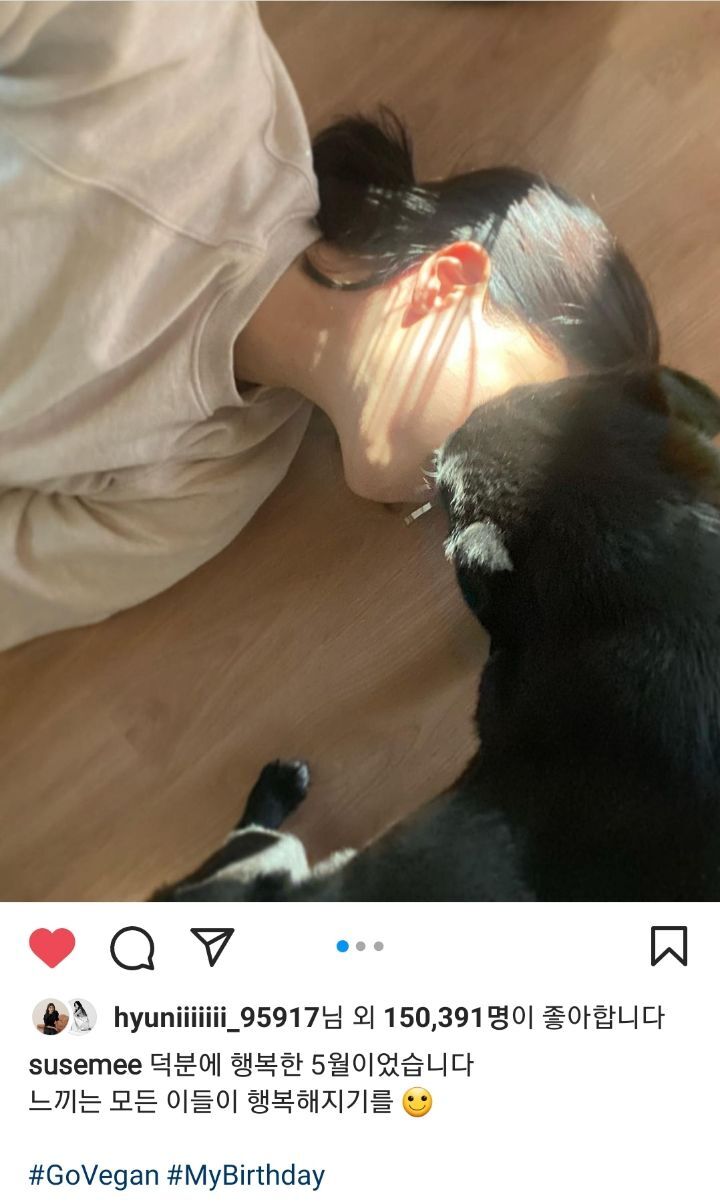 선한 영향력을 보여주는 배우 임세미의 인스타 피드 | 인스티즈