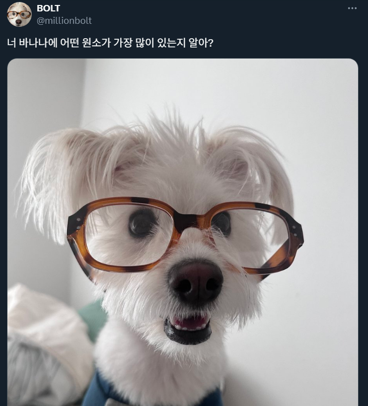 너 바나나에 어떤 원소가 가장 많이 있는지 알아? | 인스티즈