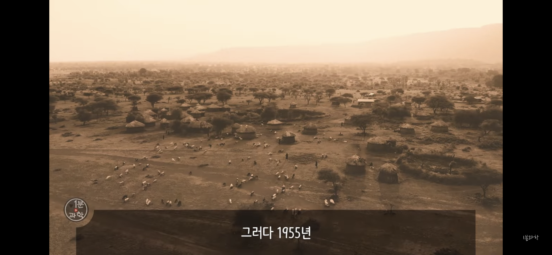 전세계에서 금지된 마약 | 인스티즈