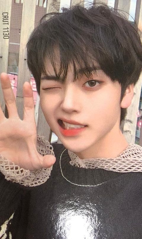 50762bb0a1eed2eaae3fc681754a5347bbdcff1e