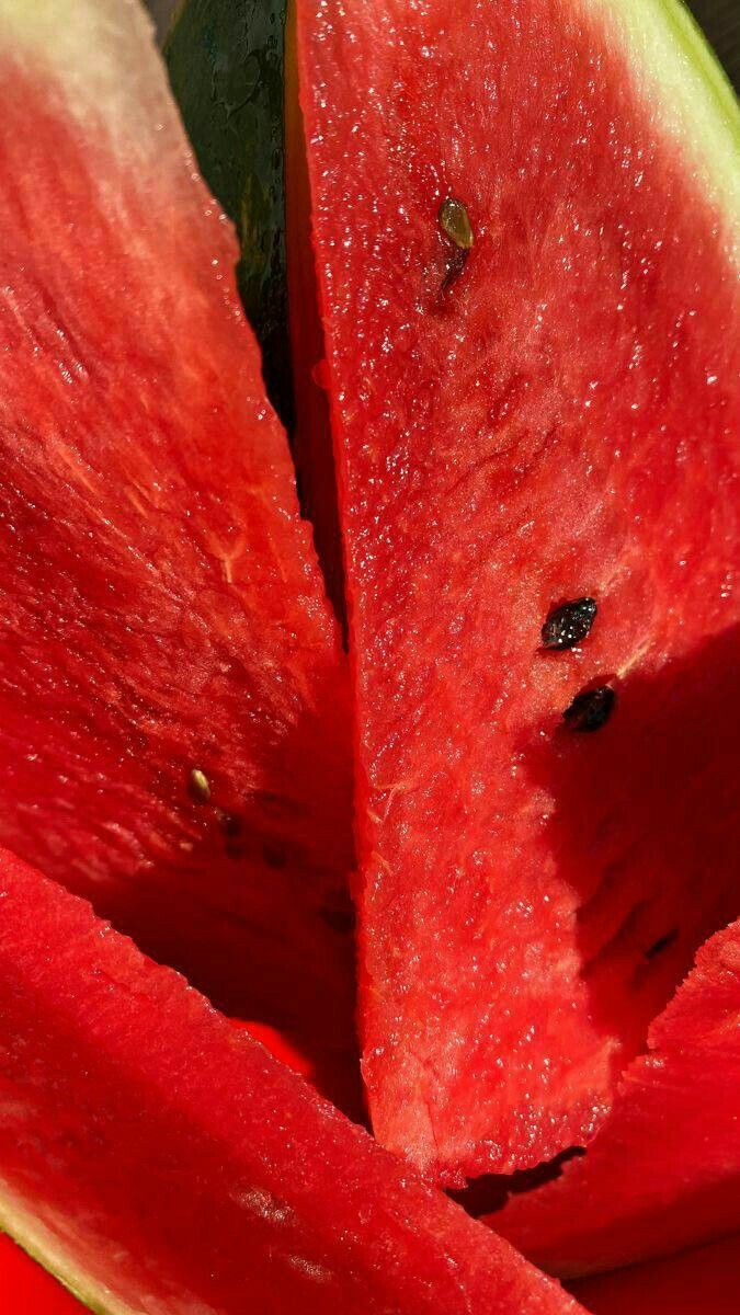 진짜로 끝나버렸어 여름! | 인스티즈