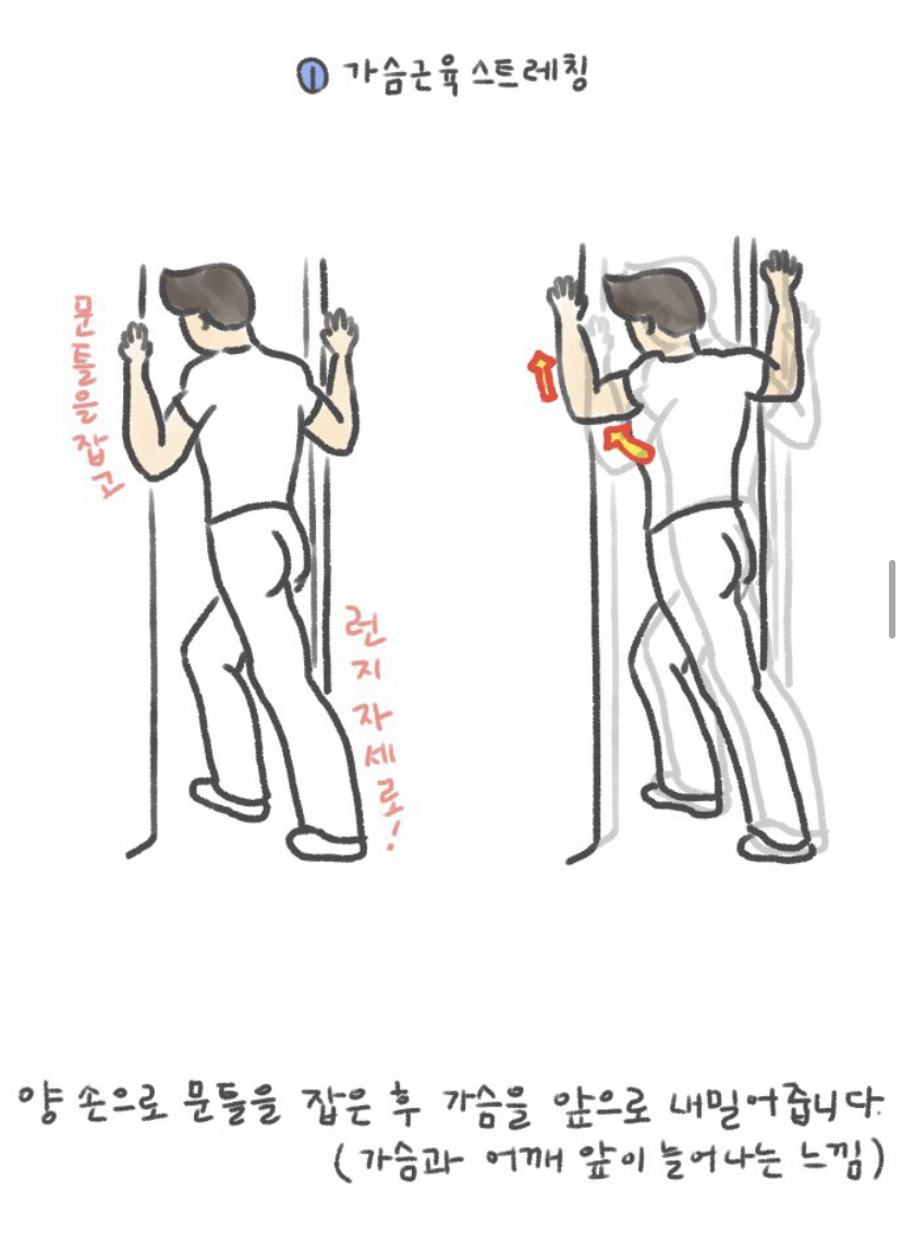 이 글 보면 목 집어 넣어! 허리 펴!!!!!!!!!!! | 인스티즈