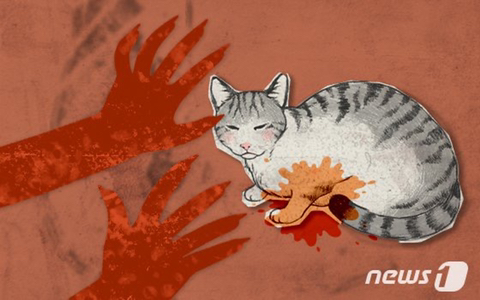 고양이 머리 돌로 찍고 소독제 뿌려 불지른 취사병들→ 軍"전원 징계" | 인스티즈