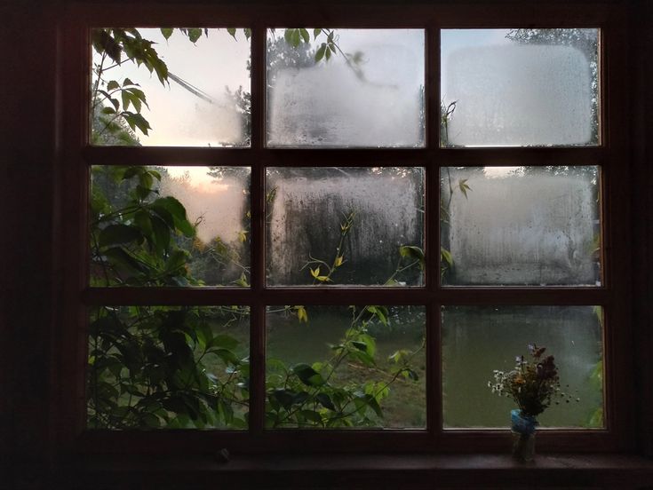 진짜로 끝나버렸어 여름! | 인스티즈