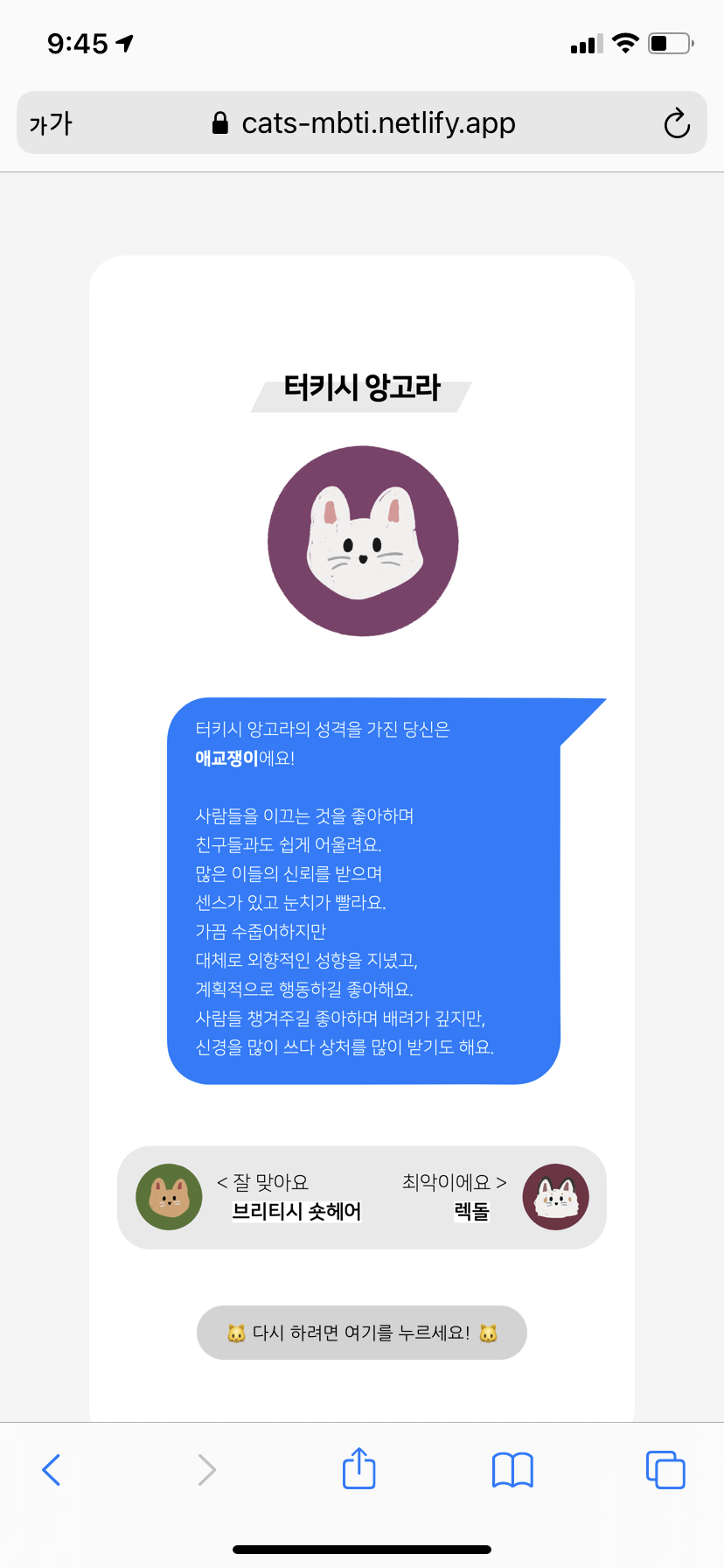 고양이 MBTi를 하고 결과 공유하자! | 인스티즈