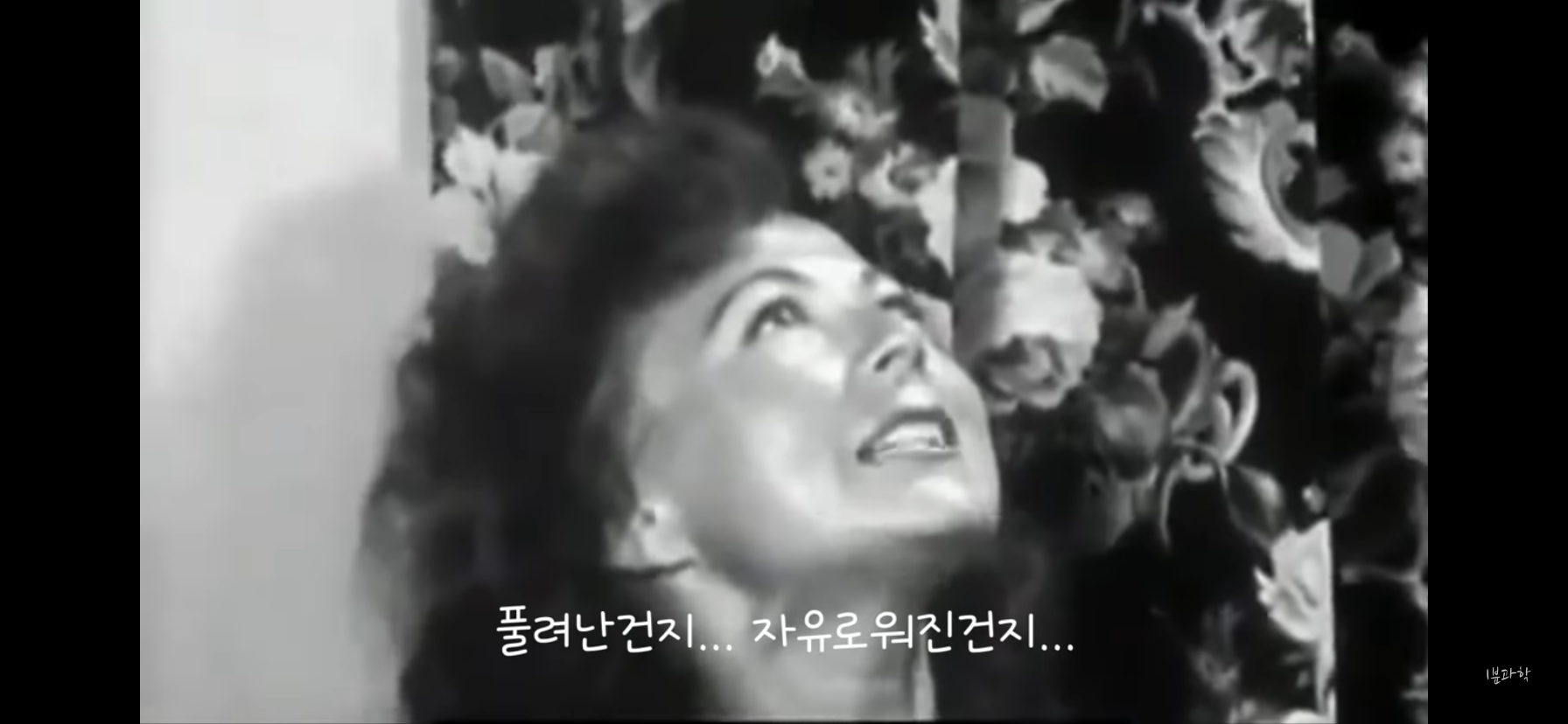 전세계에서 금지된 마약 | 인스티즈