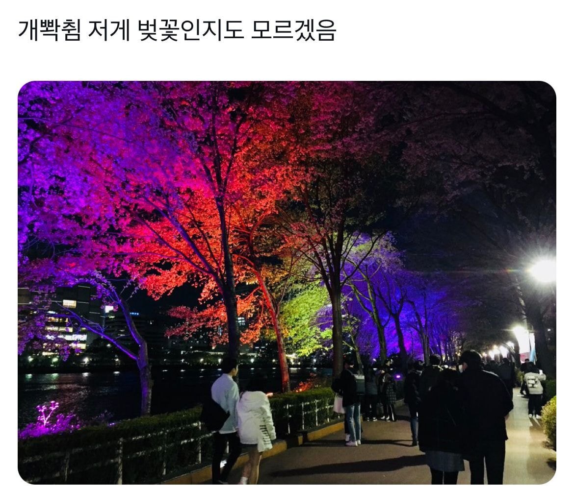 트위터에서 알티 타는 한국 조경 산업.twt | 인스티즈