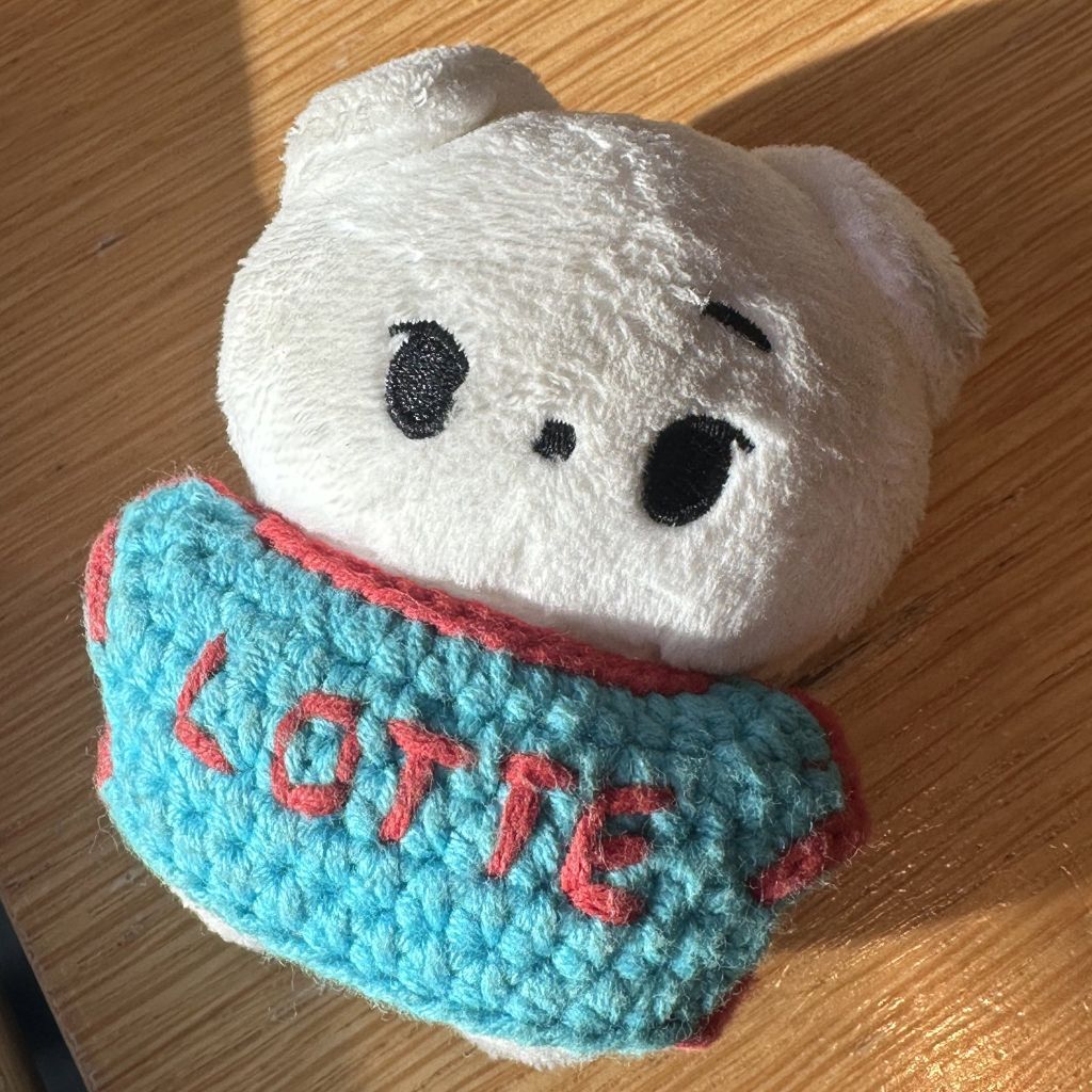 어떤 사람이 인형을 분실했는데 주인 찾아주려고 올린 글이 너무 귀여워서 만알티 넘게 탐 | 인스티즈