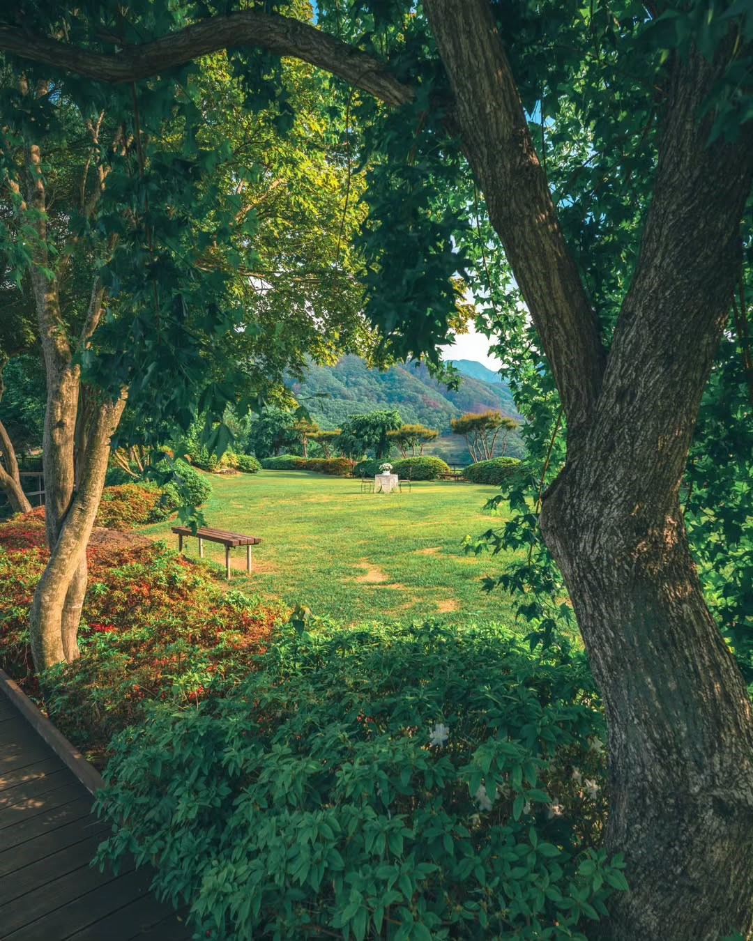 한국관광공사 계정에서 볼 수 있는 한국 | 인스티즈