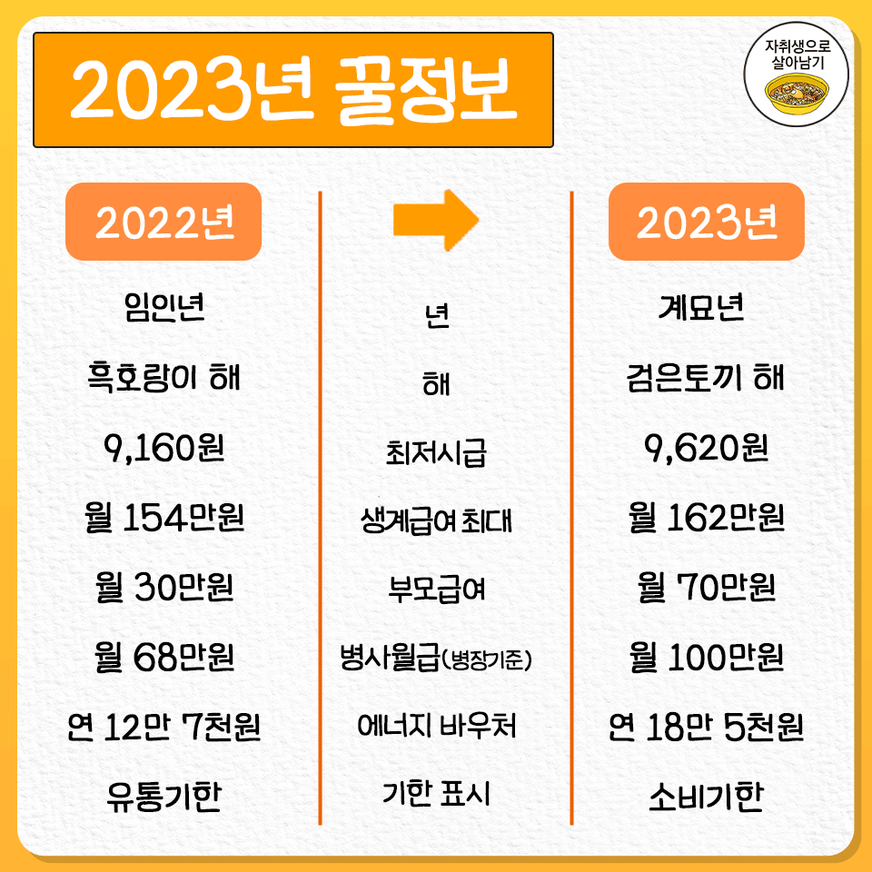 2023년 꿀정보 총정리 | 인스티즈