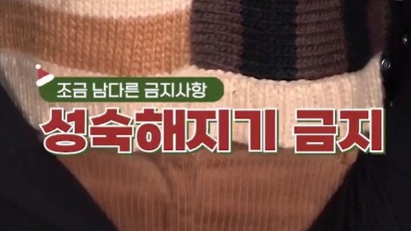 본받으면 좋을 것 같은 르세라핌 2023 금지사항.jpg | 인스티즈