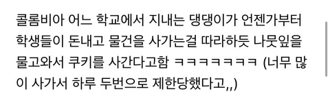 강아지 짤 모음(개많음) | 인스티즈