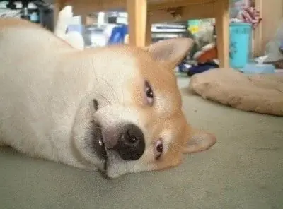 누가 더 이해안가는지 골라보는 달글 A/B | 인스티즈