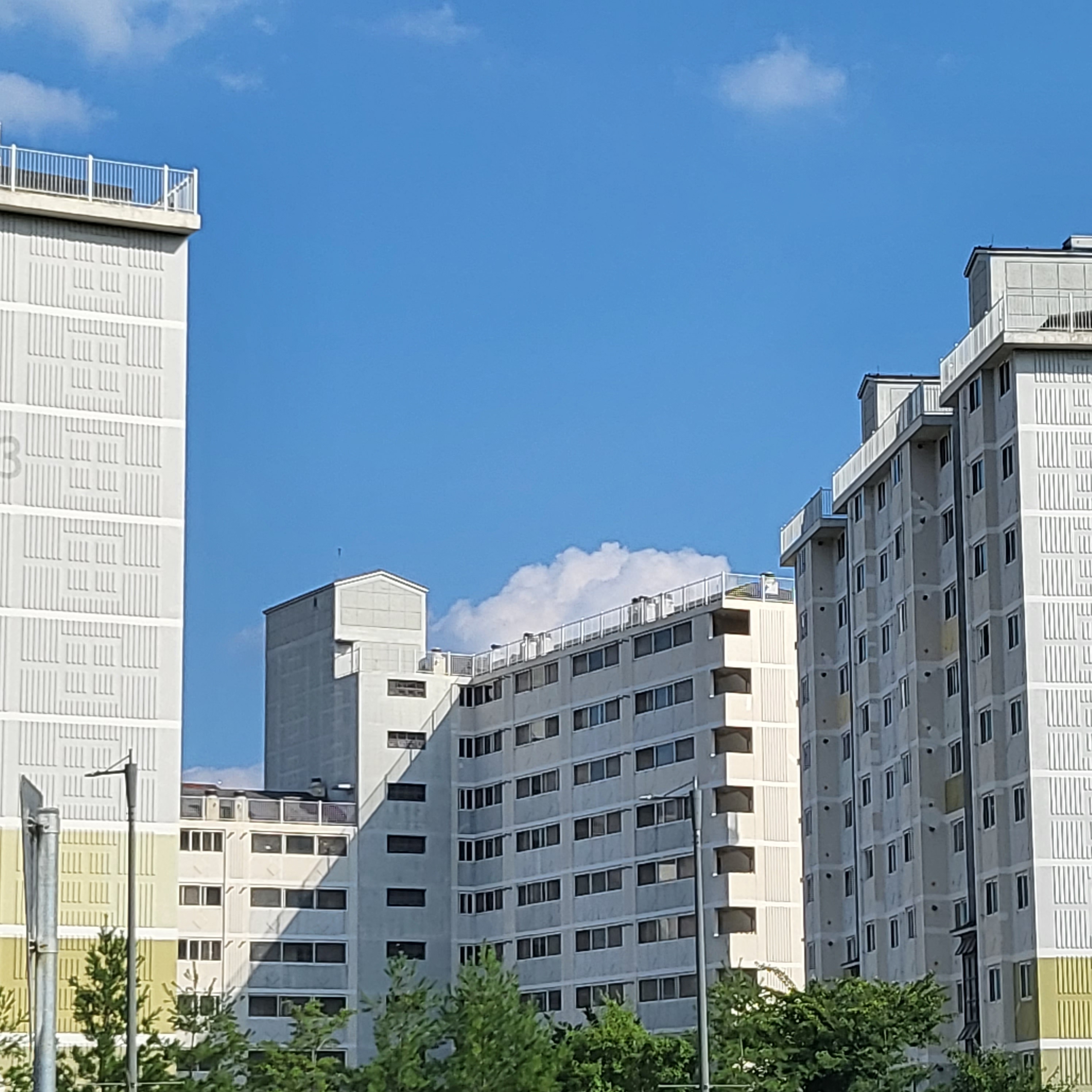 여름 향기 나는 사진 공유하는 글 | 인스티즈