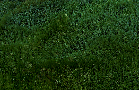 눈 감았다 뜨면 6월이야! 6월이면 곧이에요 곧! | 인스티즈