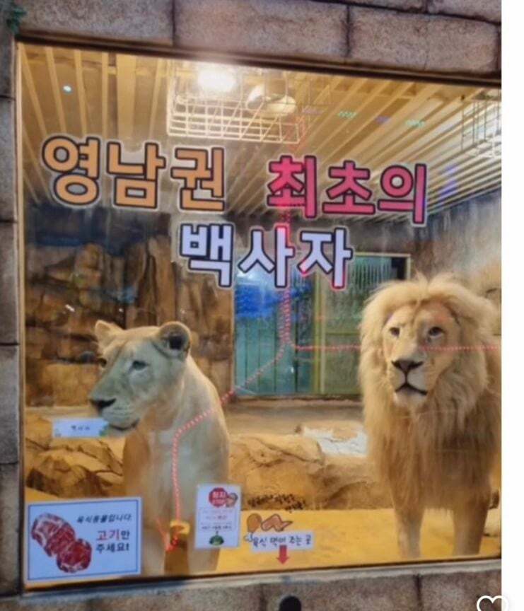 죄 없는 감옥같다는 실내 동물원 | 인스티즈