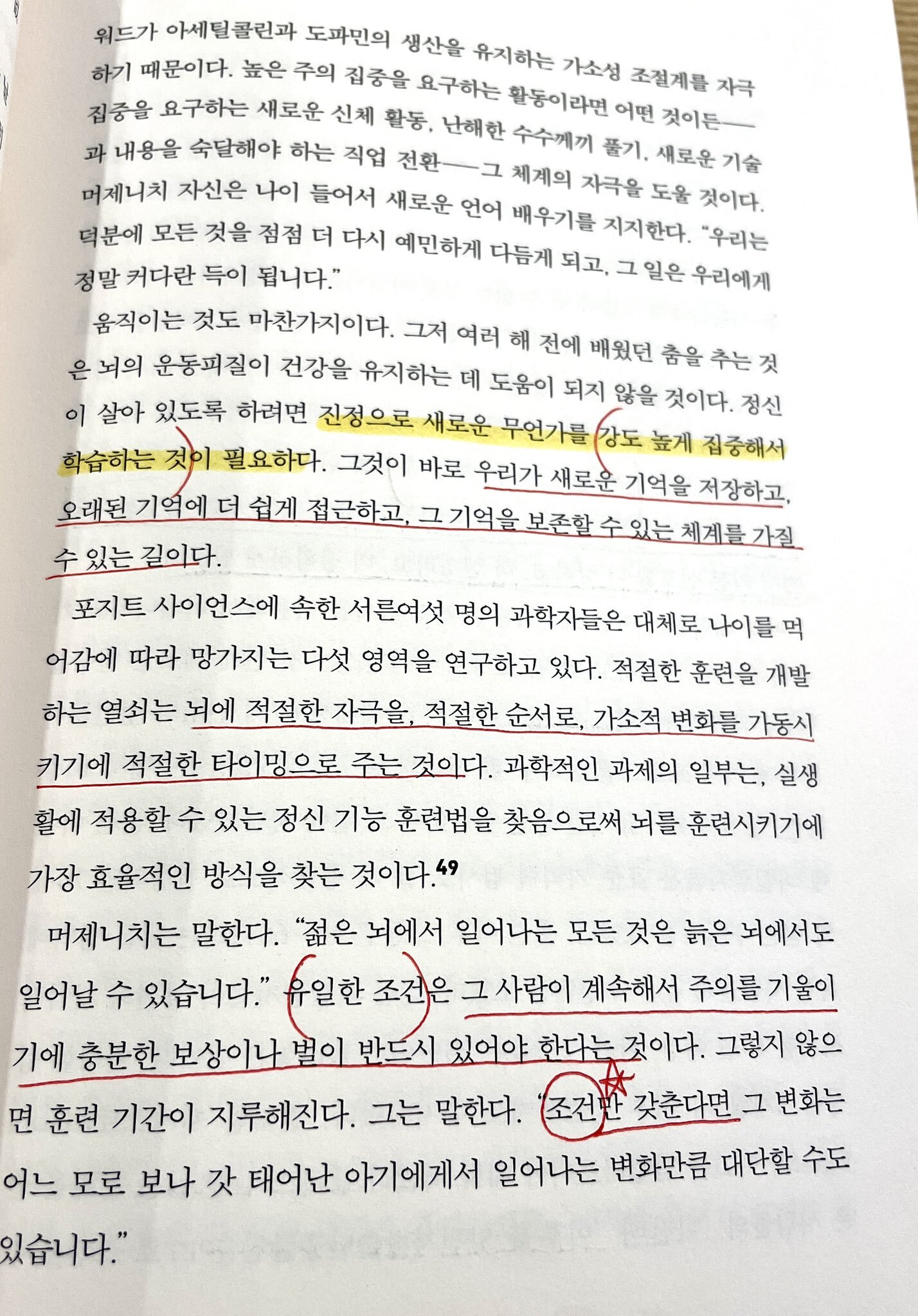 뇌는 가소적임과 동시에 경쟁적이기 때문에, 강화하고 잘하고 싶은 분야를 깊게 파고 들어야 한다 | 인스티즈