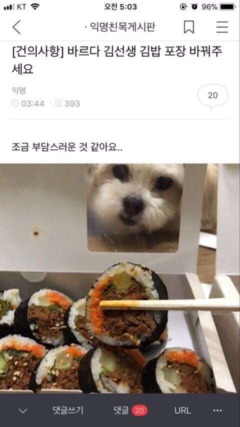 반려동물들의 귀여운 익웃 | 인스티즈