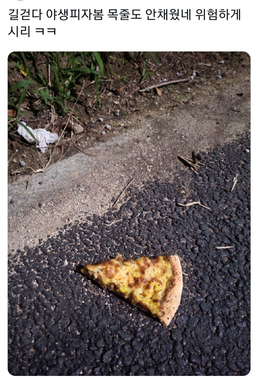 자꾸 교수님이 채찍피티?? 로 과제 하지말라고 하시는데 도대체 채찍피티가 뭔가요.? | 인스티즈