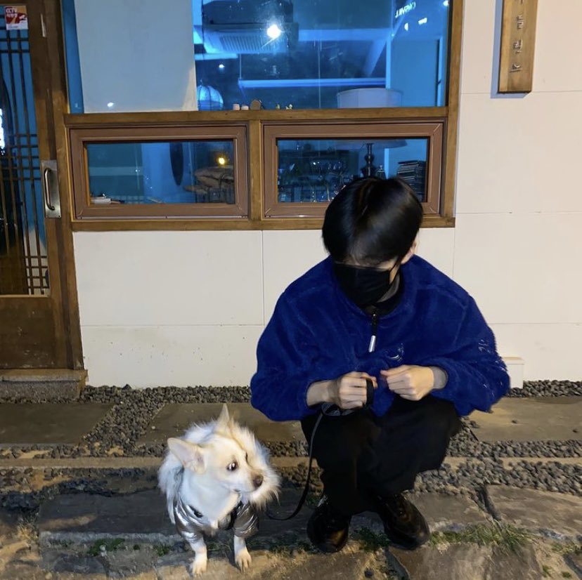 강아지별로 떠난 전 엑스원 이은상 반려견 웅이 | 인스티즈