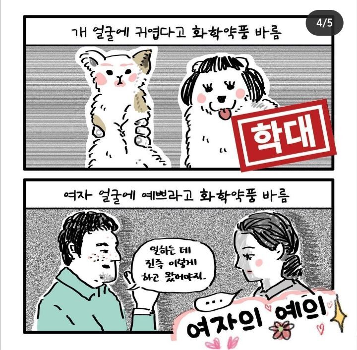 개vs여자 | 인스티즈