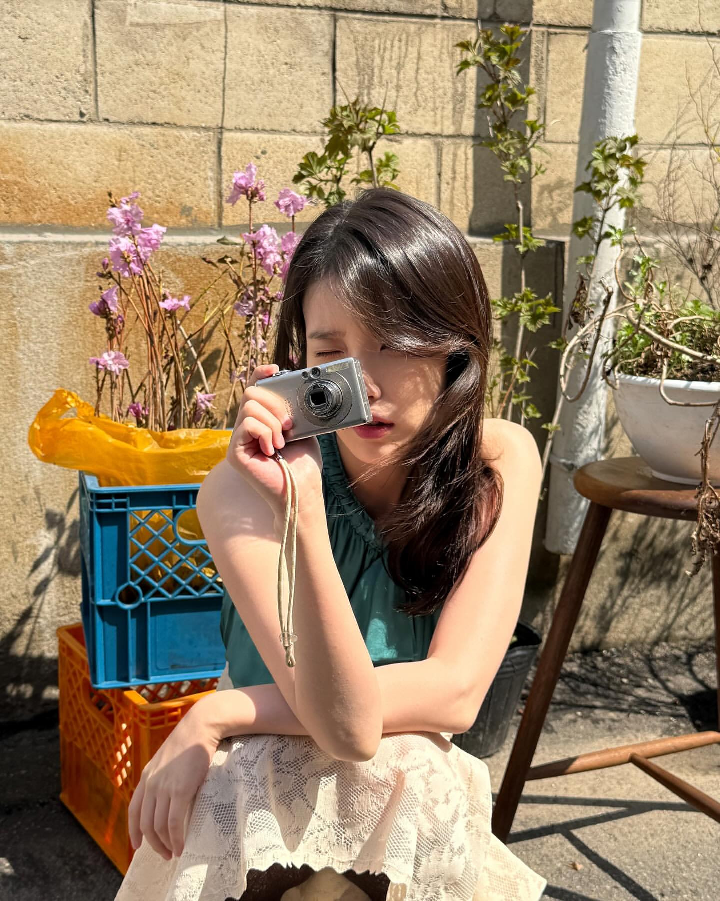 갓,지은 이미지