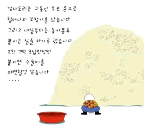 충격적인 감자도리 스토리 | 인스티즈