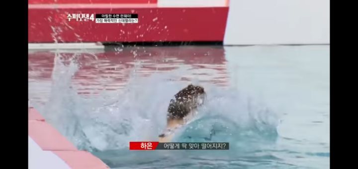 90년대생 여자들이 쇼미더머니 디스전을 가소롭게 여기는 이유 | 인스티즈