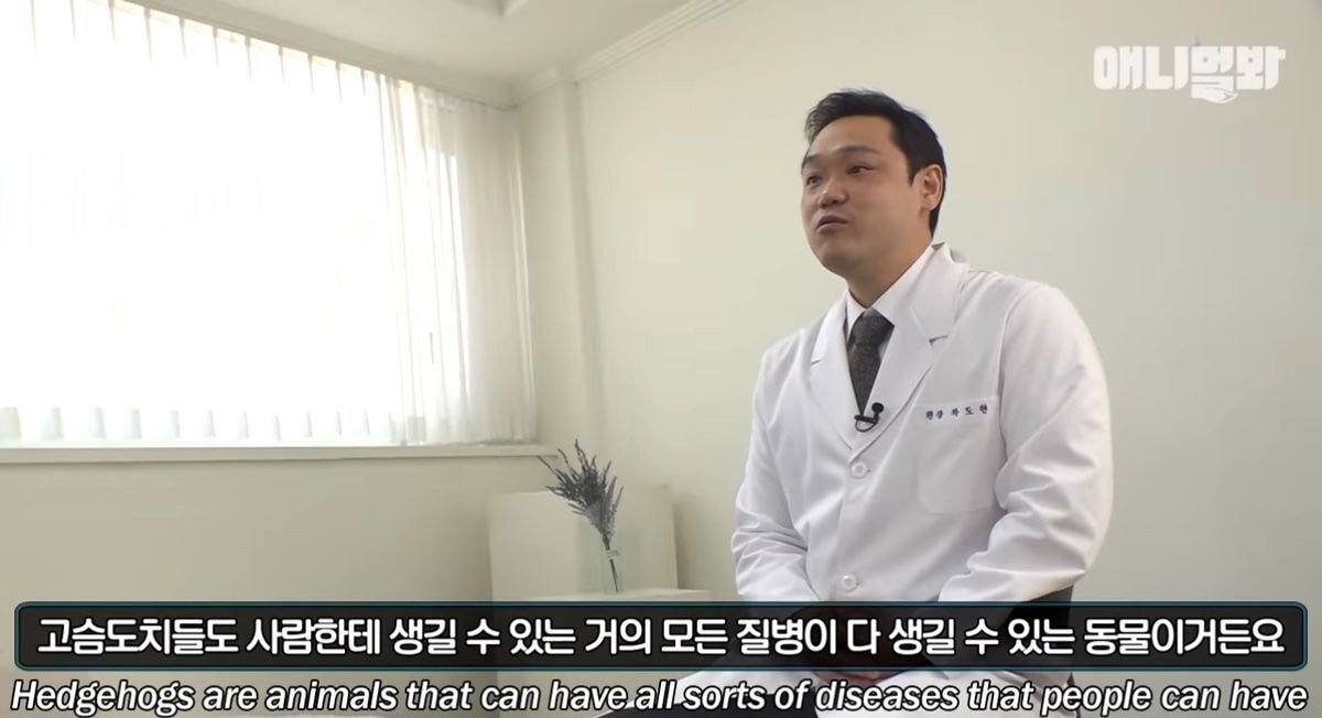 요즘 사람들이 쉽게 유기하는 동물 | 인스티즈
