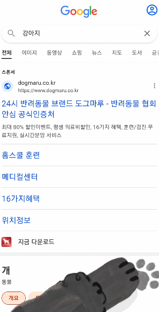 구글에 고양이와 강아지를 검색하면. gif | 인스티즈