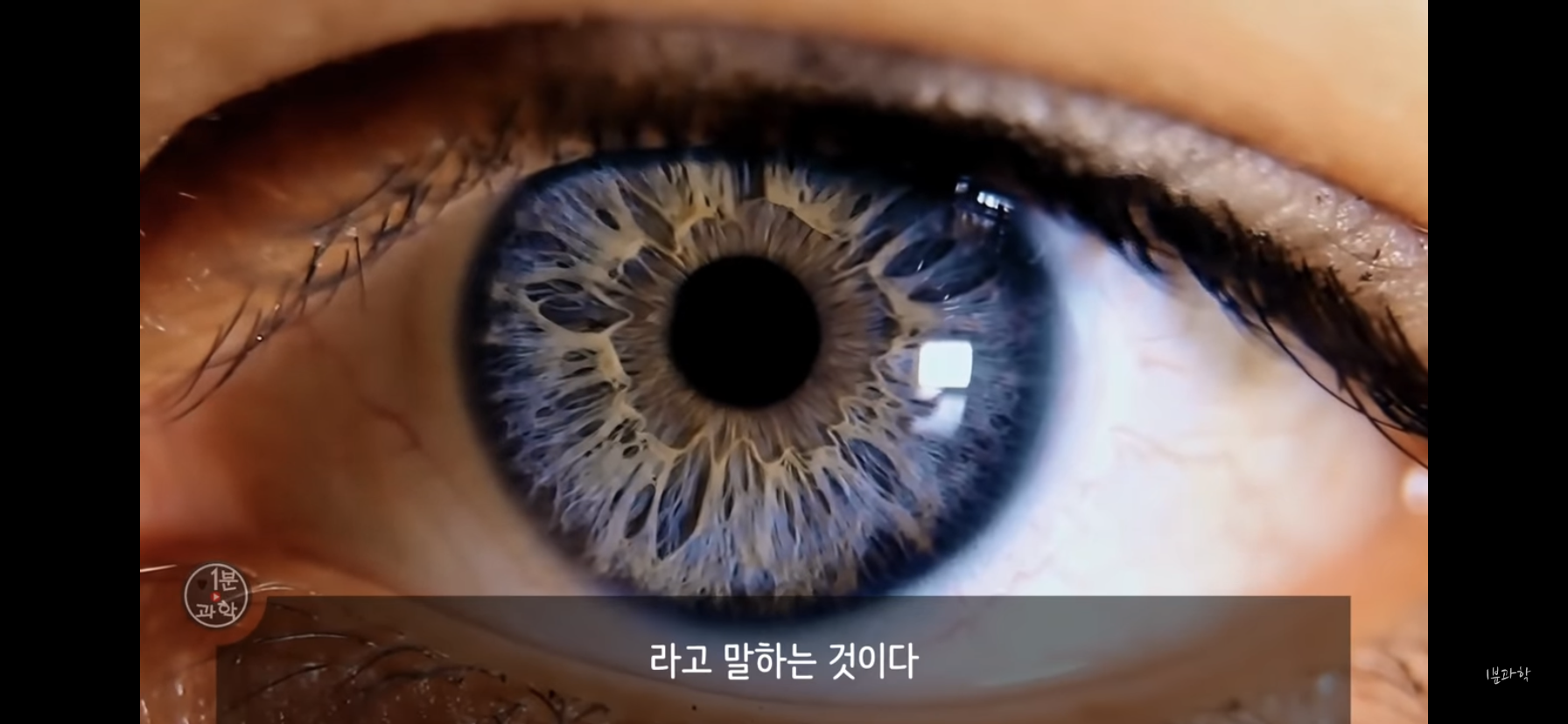 전세계에서 금지된 마약 | 인스티즈