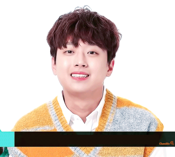 내가 가수가 된다면 어떤 분야의 가수가 되고싶은지 투표해보기 | 인스티즈