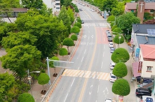 충북 단양군 읍내의 버섯돌이 가로수 | 인스티즈