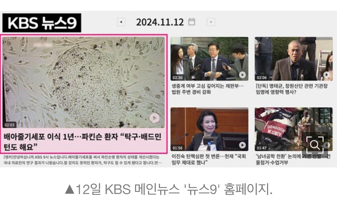 '명태균 단독'보다 '배아줄기세포' 톱으로 올린 KBS 뉴스 | 인스티즈