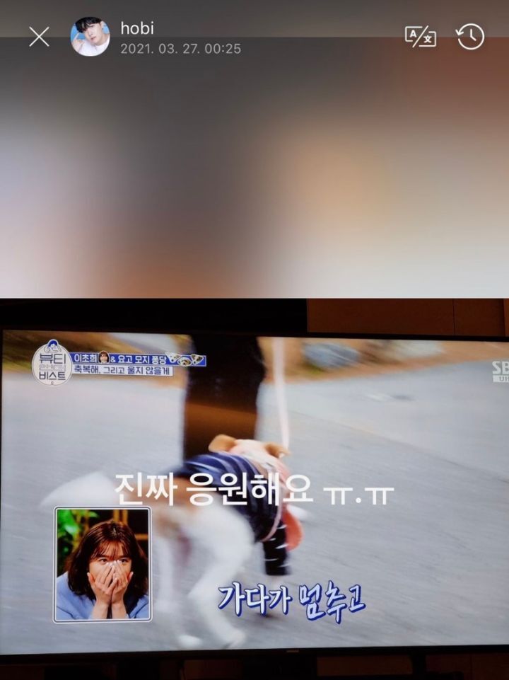 유기묘 구조해서 입양 가지 찾아준 제이홉 | 인스티즈