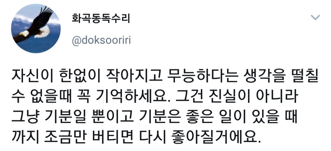 인생에 도움되는 짤 모음 | 인스티즈