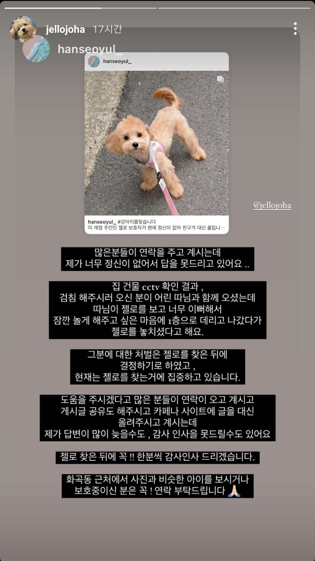 가스검침원이 마음대로 강아지 데리고 나갔다가 강아지 잃어버림 (강서구) | 인스티즈